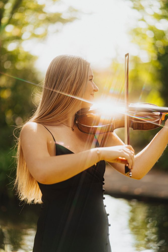 Quelle est la rareté d'un violon Stradivarius ?