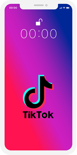 Quelqu'un peut-il regarder un lien TikTok s'il n'a pas l'application ?