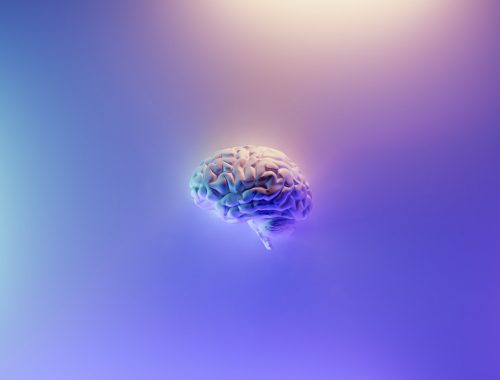 Quelle partie du cerveau gère la mémoire ?